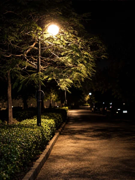 الطبيعة والضوء